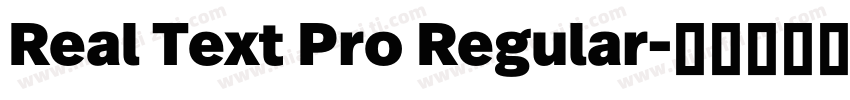 Real Text Pro Regular字体转换